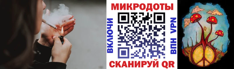 цена наркотик  Гороховец  Галлюциногенные грибы Psilocybe 